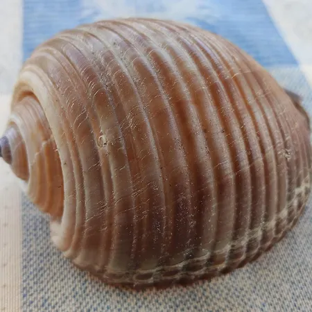 Sissy 2 アパート *