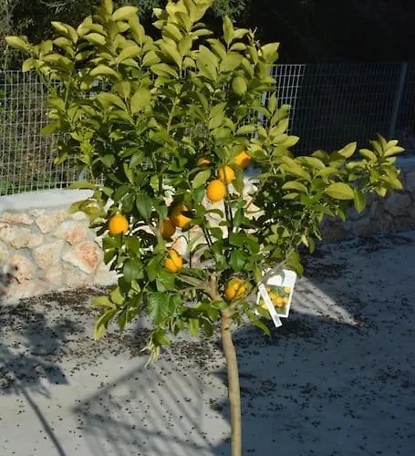 Sissy 2 Poros (Lefkada)