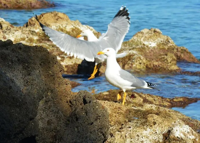 Apartment Sissy 2 Poros (Lefkada)